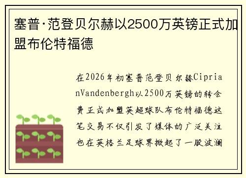 塞普·范登贝尔赫以2500万英镑正式加盟布伦特福德 塞普·范登贝尔赫以2500万英镑正式加盟布伦特福德